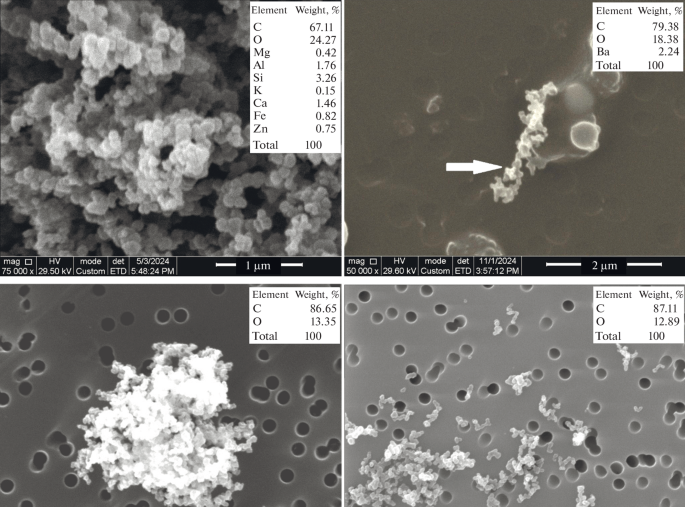 Composition and Morphology of Near-surface Atmospheric Aerosol Particles in Urbanized Area of Southern Baikal Region