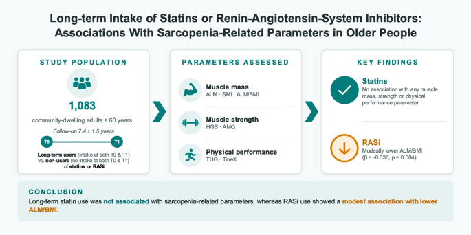 Long-term intake of statins or renin-angiotensin system inhibitors: associations with sarcopenia-related parameters in older people