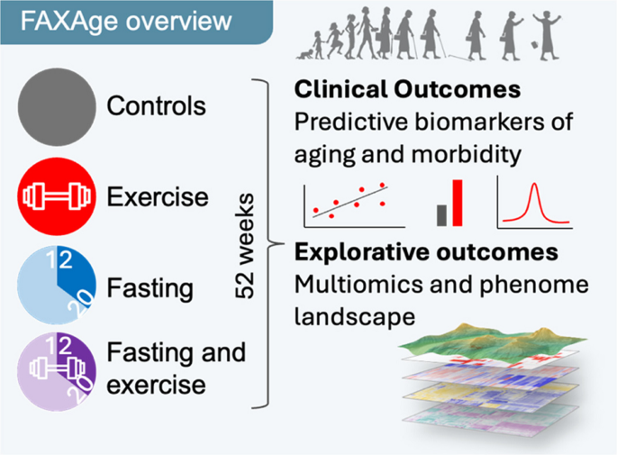 Study protocol for FAXAge: a randomized, controlled clinical trial of fasting and exercise to slow aging in humans