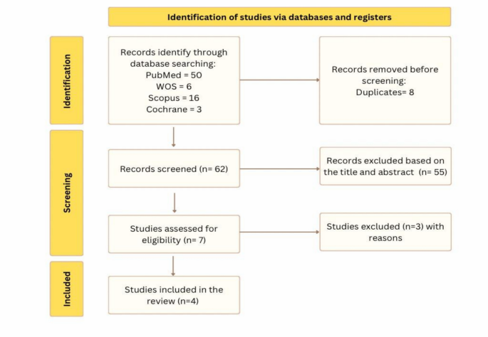 Efficacy and safety of Ensitrelvir in COVID-19 patients: a systematic review and meta-analysis with focus on viral clearance and RNA change