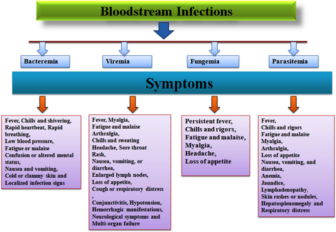 A review of bloodstream infections−pathogens, pathogenesis, diagnostic strategies, treatment methods−challenges and future aspects