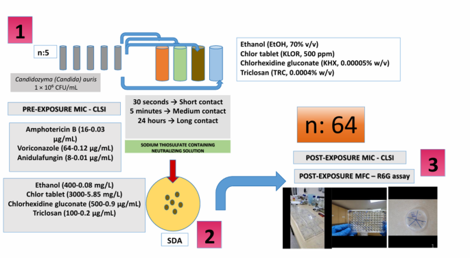 Adaptive susceptibility shifts in  following biocidal exposure: Exploratory effects on antifungal and biocidal susceptibility