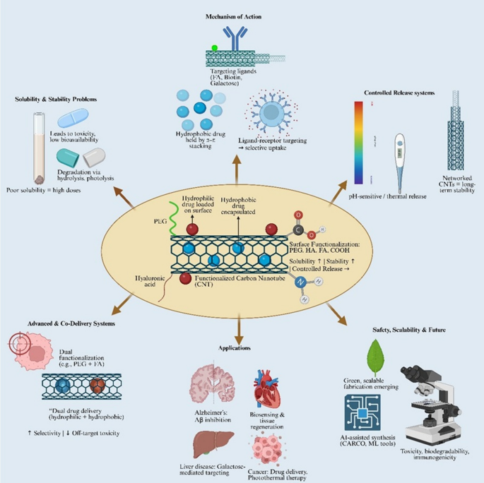 Bridging solubility, stability, and translation: advances in carbon nanotube–based drug delivery systems