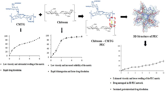 Chitosan-carboxymethyl tara gum polyelectrolyte complex matrix tablets for sustained gastrointestinal drug dissolution using paracetamol as a model drug