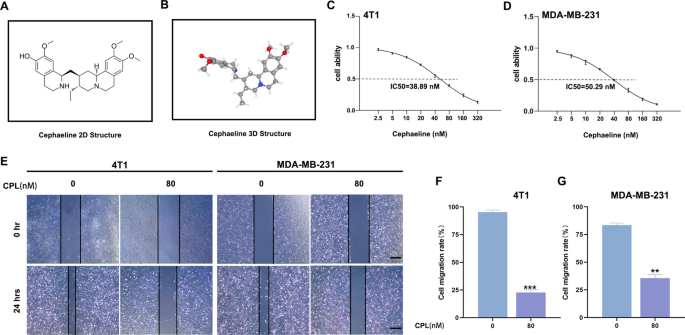 Cephaeline promotes ferroptosis in breast cancer via p53/SLC7A11/GPX4 axis