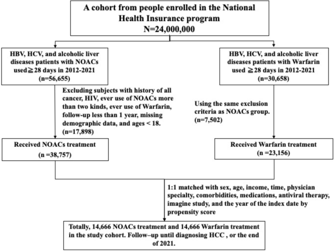 New oral anticoagulants and hepatocellular carcinoma among patients with HBV, HCV, and alcoholic liver diseases: a nationwide cohort study