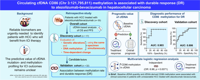 Circulating cfDNA CD86 methylation is associated with durable response to atezolizumab–bevacizumab in hepatocellular carcinoma