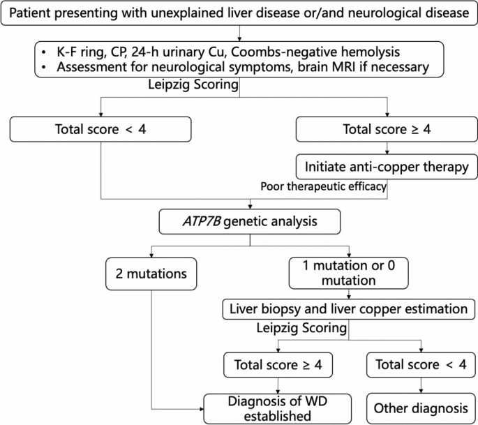 APASL clinical practice guidance: the diagnosis and management of patients with Wilson’s disease
