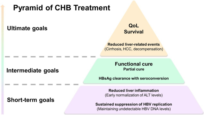 APASL clinical practice guidelines on the management of chronic hepatitis B infection: a 2026 update