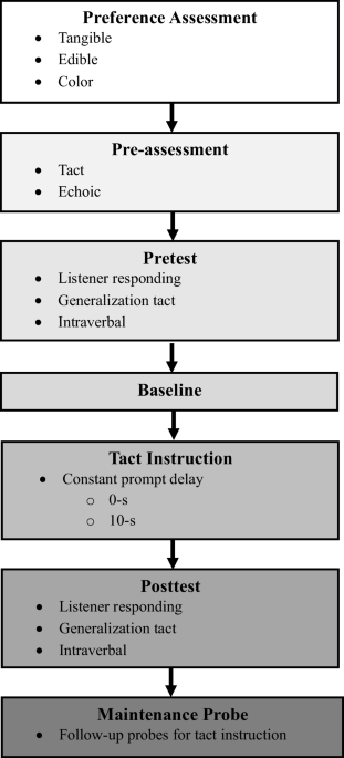 Learning-to-Learn: A Comparison of Monolingual and Bilingual Instruction