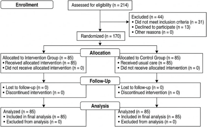 A Nurse-Led, Age-Friendly Educational Program to Reduce Stroke Risk and Promote Healthy Behaviors among Older Adults: A Randomized Controlled Trial