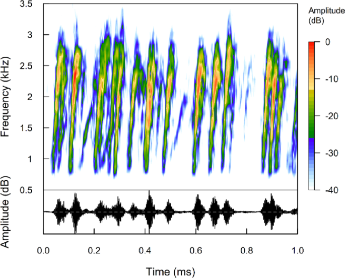 Crepuscular vocal partitioning and thermal limits on calling behavior in the Bubbling Kassina () in a sub-equatorial savanna