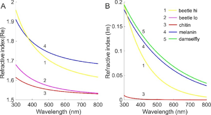 Jewel beetles, Buprestidae, modulate bright structural colours by multileveled optical engineering and surface sculpting