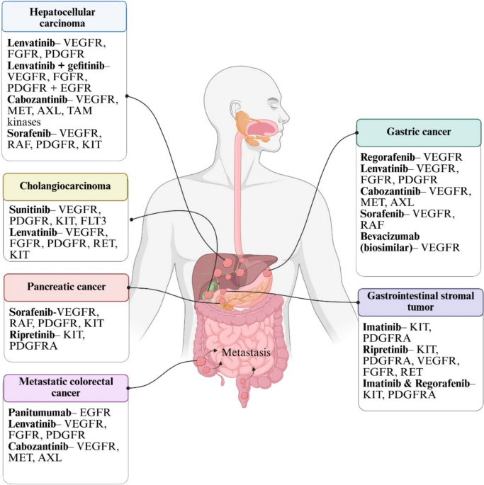 Advancements in liquid biopsy for gastrointestinal cancers receiving RTK-targeted therapies: Predicting treatment response and monitoring disease progression