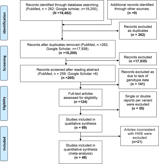Genetic predisposition to gastric cancer and treatment outcomes in South Asian and Iranian populations: a comprehensive meta-analysis