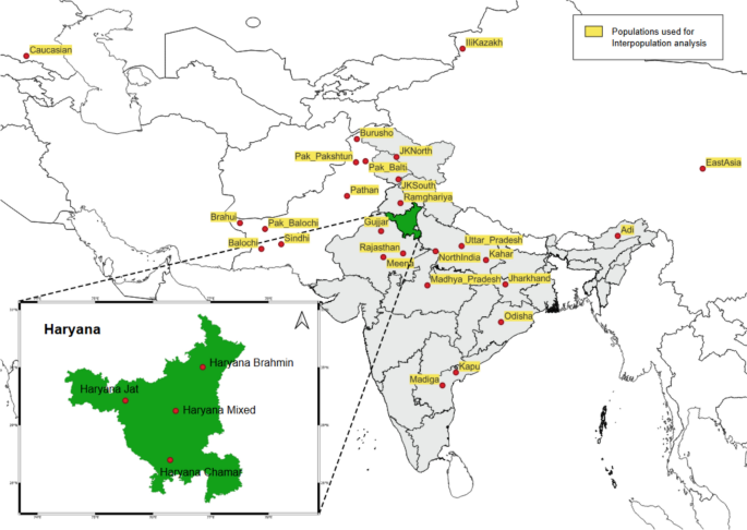 Forensic efficacy evaluation of the Microreader™ 28 A ID System in Indian subpopulation