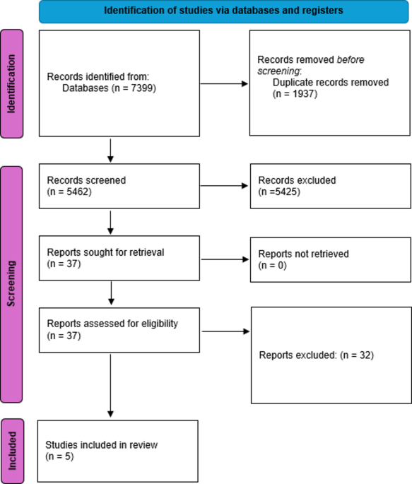 Sexual dysfunction after cauda equina syndrome: a systematic review of long-term outcomes