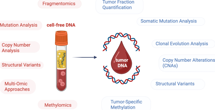 Circulating Tumor DNA as a Biomarker for Melanoma Prognosis and Therapy