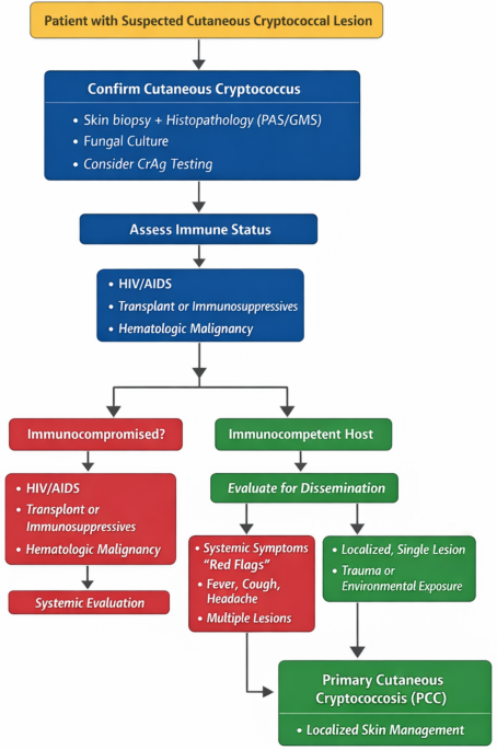 Primary Cutaneous Cryptococcosis in Immunocompetent Patients: Recognition and Management
