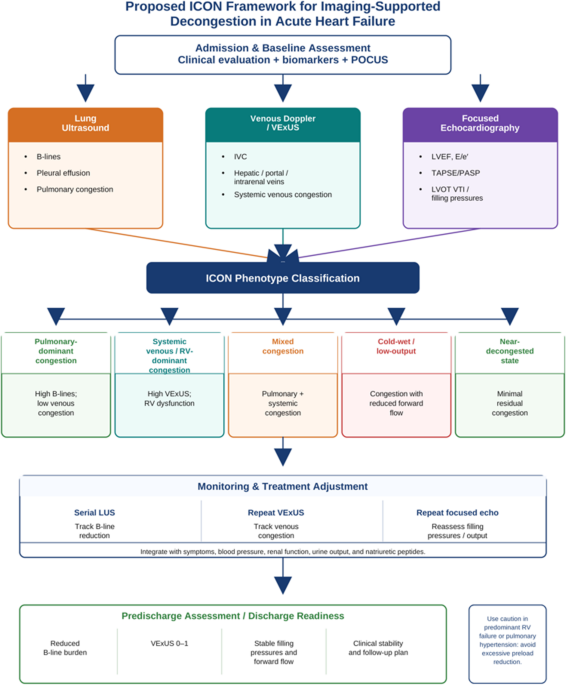Beyond clinical congestion in acute heart failure: integrating lung ultrasound, venous doppler, and echocardiographic hemodynamics for imaging-guided decongestion
