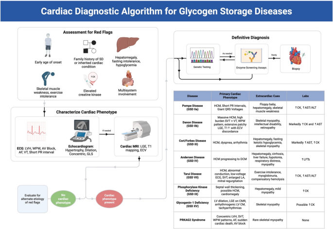 Cardiomyopathy in glycogen storage diseases: diagnosis, prognosis, and advanced management