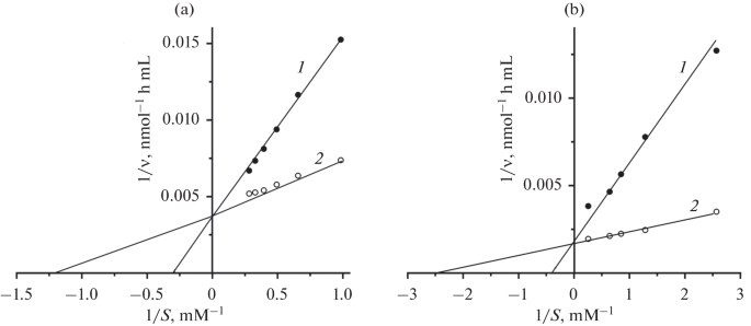 Activating Effect of Avarol and Damiron A from Sea Sponges on α-N-Acetylgalactosaminidase from Human Colorectal Cancer Cell Cultures