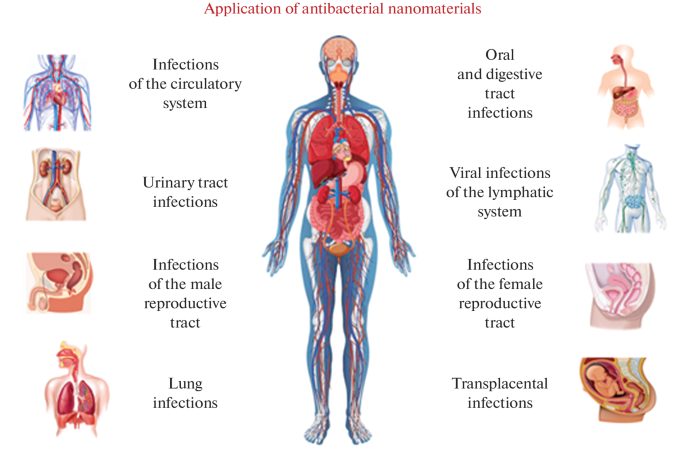 Innovative Approaches in Nanomedicine: Atomic Layer Deposition of Antibacterial Nanofilms and Their Application in the Treatment of Chronic Wounds