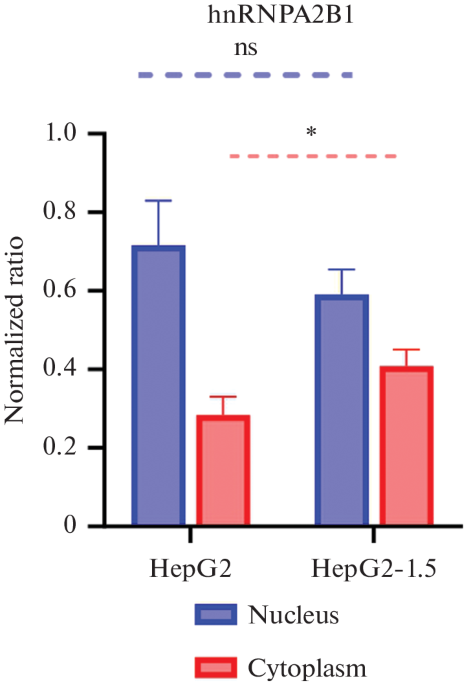 The Role of hnRNPA2/B1 in Hepatitis B Virus Replication and Transcription