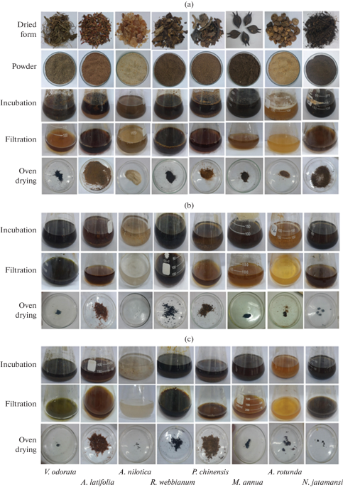 Phyto-Therapeutic Potential of Medicinal Plant Extracts against MDR Pathogens and Their Cytotoxicity