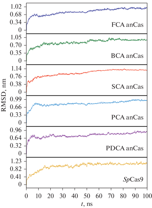 Relationship between Hydration and Catalytic Activity of Endonucleases: The Case of Cas9 and Its Evolutionary Variants