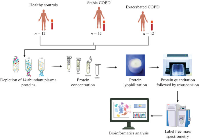 Profiling Unique Proteins in Stable COPD: Uncovering Novel Biomarker Candidates and Pathophysiological Mechanisms