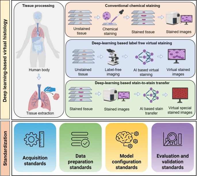 Virtual histological staining: toward standardization and clinical translation
