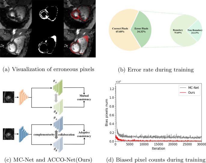 An adaptive consistency co-optimization network for semi-supervised medical image segmentation