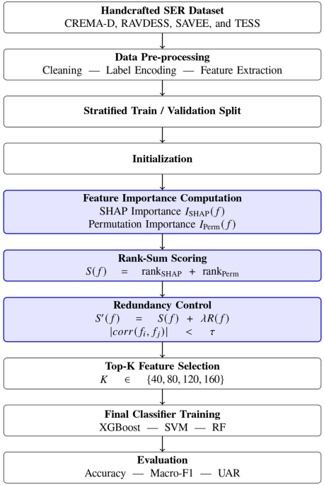 Explainability guided feature selection for speech emotion recognition using SHAP and permutation importance