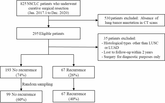 IC-TCA-Net: a multimodal fusion framework with dimensionality transformation for two-year recurrence prediction in NSCLC