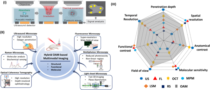Integrating optoacoustic microscopy with existing and emerging imaging modalities: a review