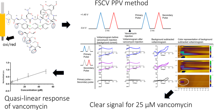 Measuring vancomycin using paired pulse voltammetry with a wireless instantaneous neurotransmitter concentration sensing system for point-of-care patient treatment