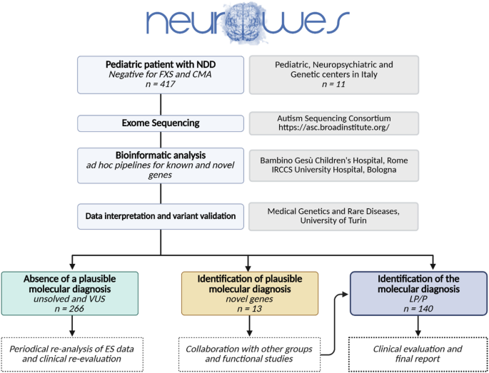 The NeuroWES project: lessons learned from comprehensive phenotyping and genetic analysis of neurodevelopmental disorders over a decade