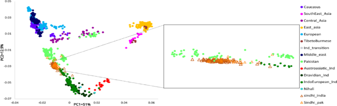 Blending borders: reconstructing the genetic history of the Sindhi population