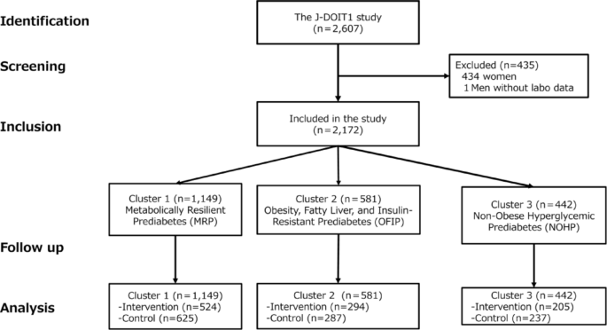 Identification of distinct metabolic subtypes among Japanese men with prediabetes: a data-driven cluster analysis from the J-DOIT1 study