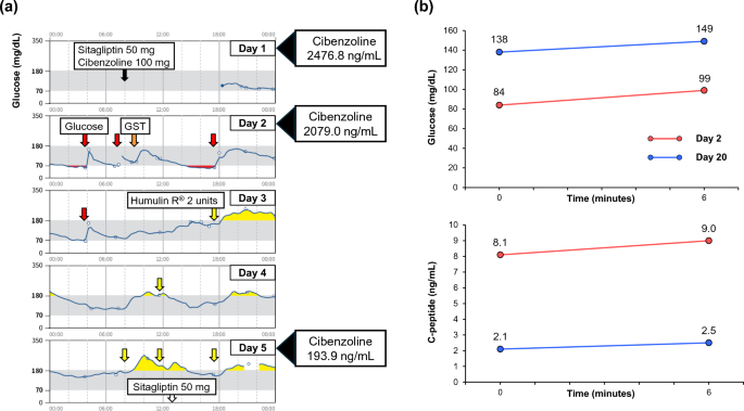 Postoperative renal dysfunction-induced severe hypoglycemia associated with unrecognized cibenzoline intoxication in a patient with type 2 diabetes mellitus: a case report with review of literature