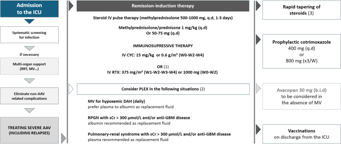 Intensive Care Management of ANCA-associated Vasculitides: a Narrative Review