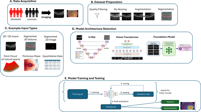 Artificial Intelligence for Ocular Image Interpretation: From Screening to Clinical Decision Assistance