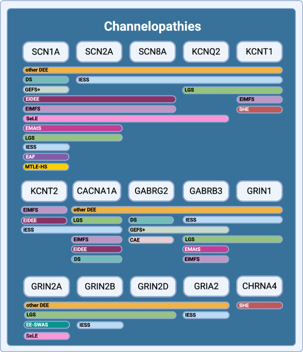 Targeted Treatments for Genetic Epilepsies, Part 1: Channelopathies