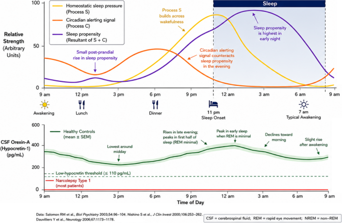 Repositioning Orexin in Sleep Medicine: From Wake Promotion to Sleep-State Control. A Treatment-Oriented Narrative Review