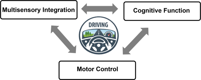 Visual Impairment and Driving in Older Adults: A Narrative Review