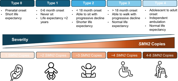Spinal Muscular Atrophy: Advances in Diagnosis, Treatment, and Emerging Therapies