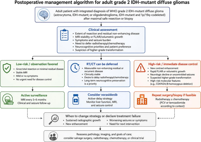 Current Treatment Options for Adult Grade 2 IDH-mutant Diffuse Gliomas in the Vorasidenib Era: Patient Selection, Sequencing, and Practical Management