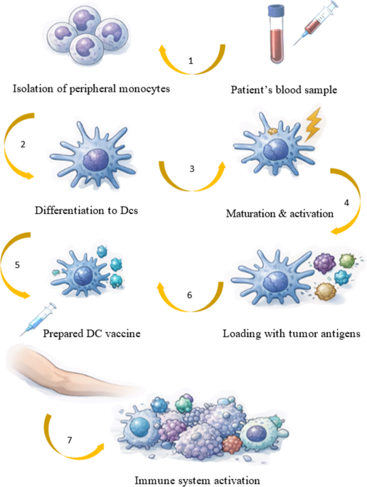 Past achievements and future perspectives of personalized vaccines and the role of dendritic cells