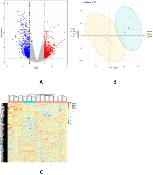 Integrated transcriptomic analysis of peripheral blood CD4 + T cells identifies immune-associated hub genes in rheumatoid arthritis: discovery and external validation